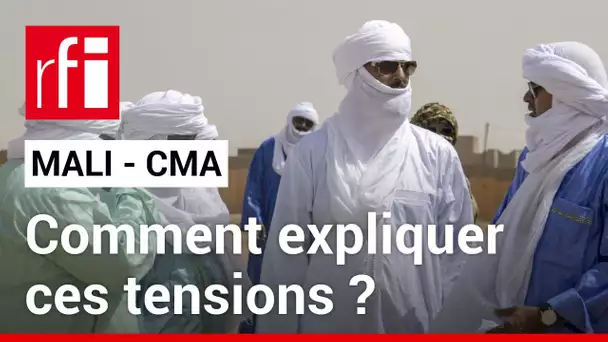 Mali : retour sur le départ de Bamako de la délégation de la CMA • RFI