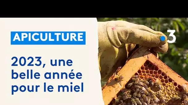 La production de miel est en augmentation en 2023