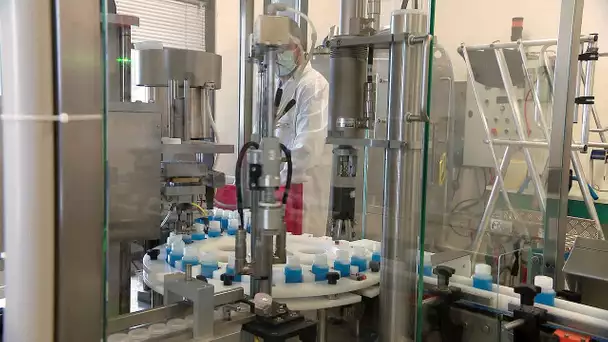 Coronavirus : Hérault, les tests sérologiques du laboratoire ID.Vet jugés parmi les plus fiables