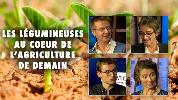 Les légumineuses et l'agriculture de demain - Emission 19, 3ème partie - L'Esprit Sorcier