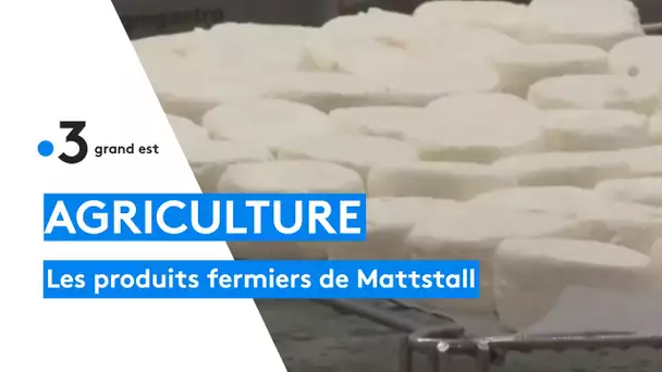 La ferme Suss à Mattstall se lance dans la vente de produits fermiers