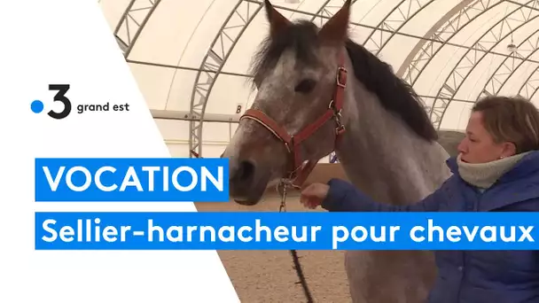 Elle devient sellier-harnacheur, un métier d'art en voie de disparition