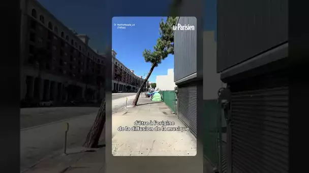 « Baby Shark » diffusée dans une rue pour faire fuir les sans-abris