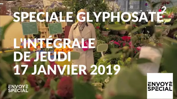 Envoyé spécial. Glyphosate : comment s'en sortir ? - 17 janvier 2019 (France 2)