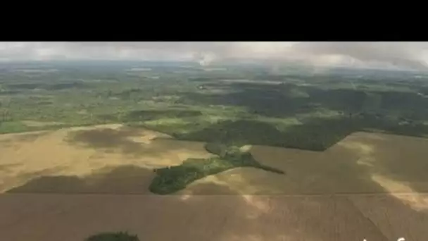 Brésil, Amazonie: forêt et zones cultivées