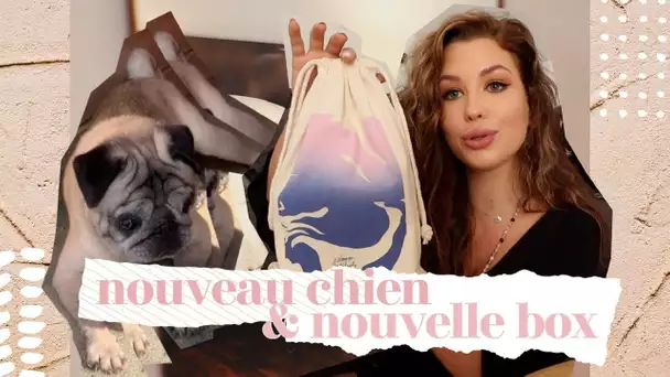 Nouveau Chien + Nouvelle Box | Vlog