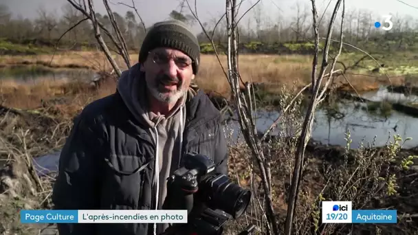 Exposition photographique sur la forêt de Gironde post incendies de 2022