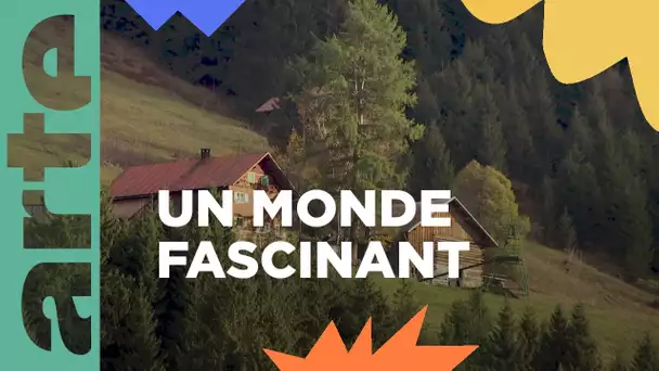 Tous à la montagne, bienvenue dans les Alpes | ARTE