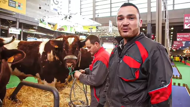 Salon de l’Agriculture : bienvenue dans la plus grande ferme de France