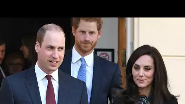 Kate Middleton et William ravis, changements importants dans les mémoires d’Harry