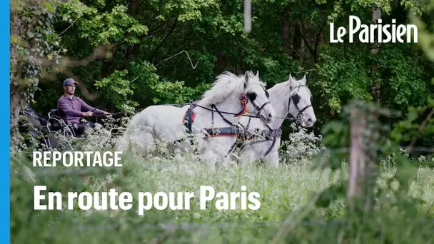 «La Route du poisson», la course de chevaux de trait entre Boulogne-sur-Mer et Paris fait son retour