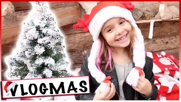 VLOGMAS 4 : A la recherche de notre Sapin de Noël / Dimanche en famille