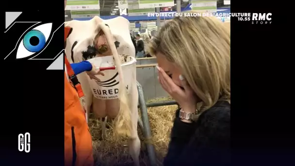 [Zap Télé_2]  Les images de Sarah Saldmann rencontrant sa première vache  (03/03/23)