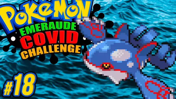 KYOGRE (enfin ça pourrait être un Rattata) SE DECHAINE ! #18 - Pokémon EMERAUDE C🅾️VID CHALLENGE