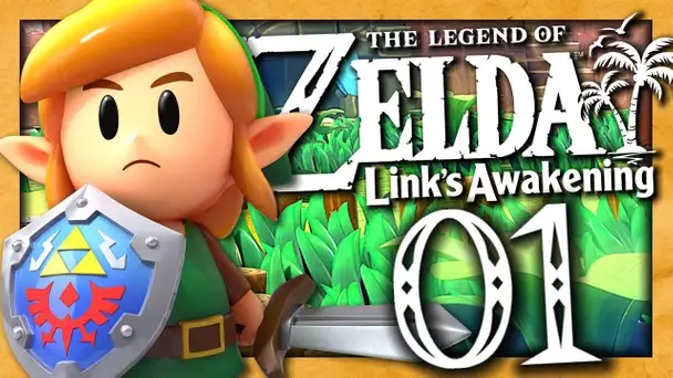 ZELDA LINK'S AWAKENING EPISODE 1 | L'AVENTURE COMMENCE ! NINTENDO SWITCH