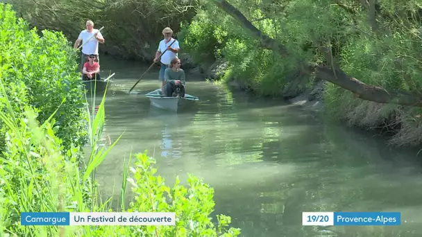 Festival de la Camargue : une balade sur les marais à bord de barques traditionnelles à fond plat