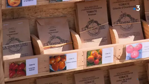 À "La semencerie", les fermes de semences reproductibles en Franche-Comté