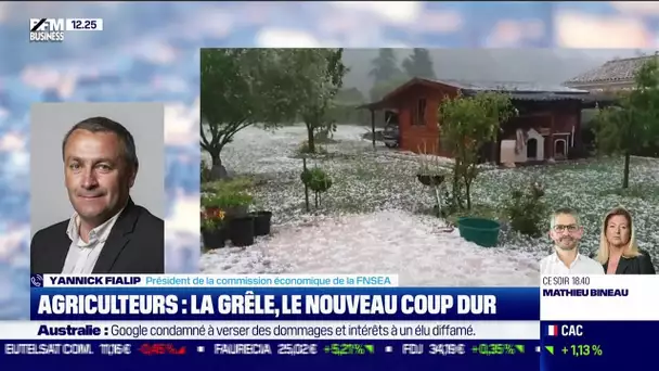 Yannick Fialip (FNSEA ) : La grêle, le nouveau coup dur pour les agriculteurs