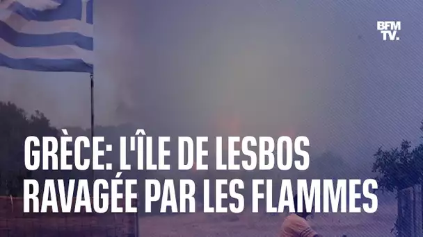 Grèce: l'île de Lesbos ravagée par les flammes