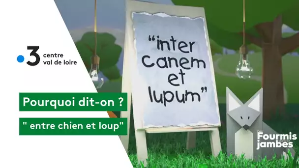 Pourquoi dit-on : entre chien et loup !