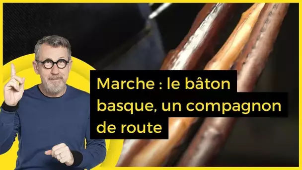 Marche : le bâton basque, un compagnon de route - C Jamy