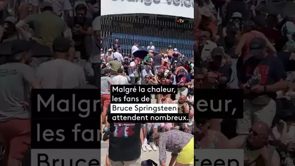 Bruce Springsteen attendu par de nombreux fans à Marseille, malgré la chaleur
