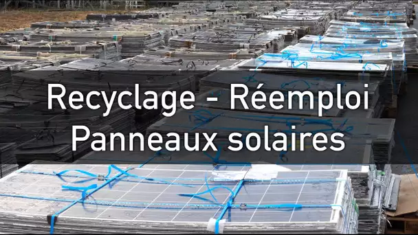 Panneaux solaires : les unités de recyclage se développent