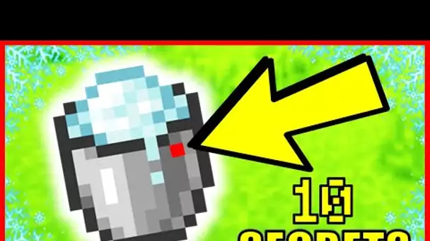 100% *IMPOSSIBLE* QUE TU TROUVES CES 10 SECRETS MINECRAFT 1.17