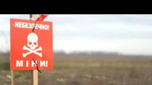 Les mines russes, armes de destruction massive de l'agriculture ukrainienne