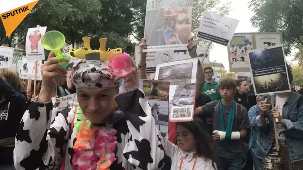Veggie pride : des militants anti-spécistes marchent contre la souffrance animale