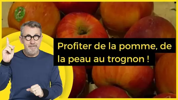 Profiter de la pomme, de la peau au trognon ! - C Jamy