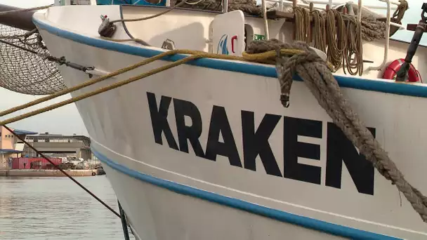 Dans Bleue Occitanie on craque sur le Kraken