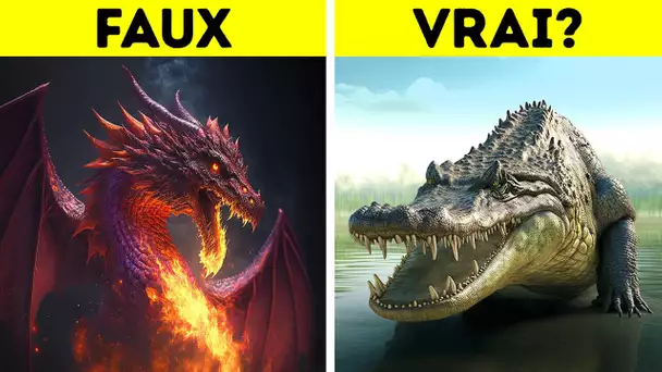La véritable histoire des dragons : d'où viennent ces bestioles pouvant cracher du feu ?