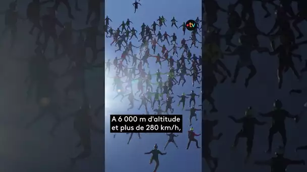 Ce couple de parachutiste français vient battre le record du monde de chute libre