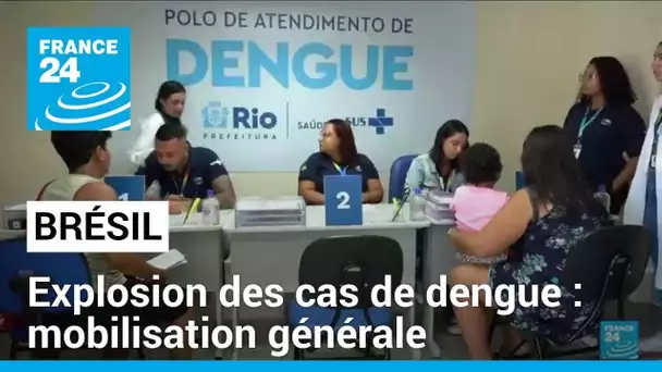 Explosion des cas de dengue au Brésil : le pays ordonne la mobilisation générale • FRANCE 24