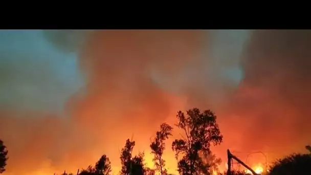 Le nord du Maroc à son tour touché par de violents feux de forêt