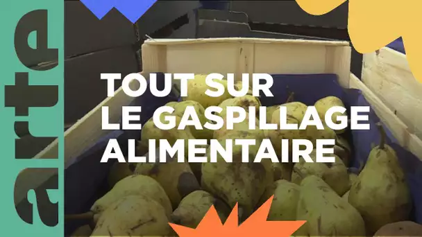 Dossier : le gaspillage alimentaire | ARTE