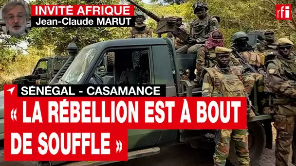 Sénégal : « La rébellion casamançaise se livre à des actions criminelles pour survivre » • RFI