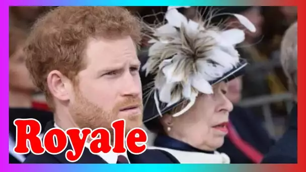 Coup dur pour Harry en tant Anne pour remplacer Duke d@ns le rôle clé des Royal Marines