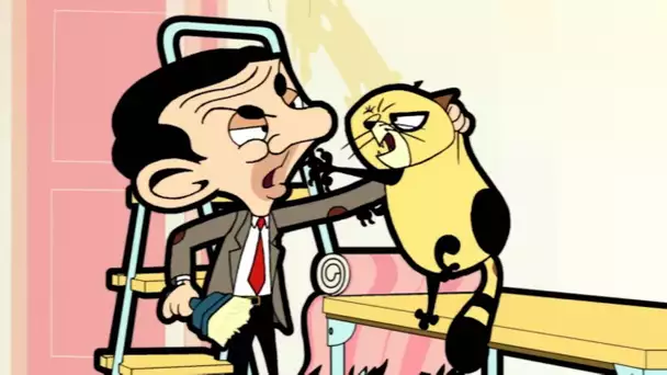 chat mort | Mr Bean | Dessins animés pour enfants | WildBrain pour les enfants