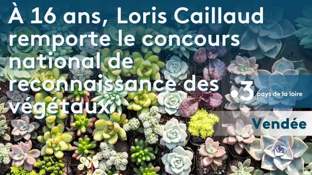 Vendée : à 16 ans, Loris Caillaud remporte le concours national de reconnaissance des végétaux