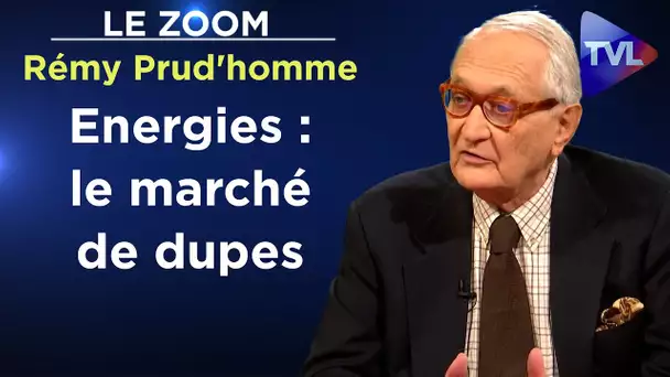 Je révèle les vrais responsables de la crise énergétique - Le Zoom - Rémy Prud'homme - TVL