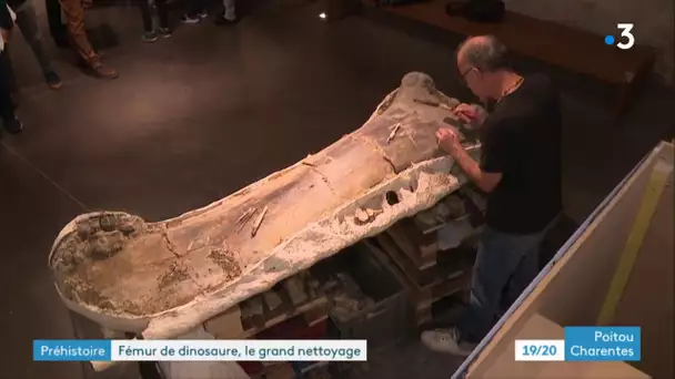 Angoulême : le fémur de dinosaure sort de son sarcophage sous les yeux du public