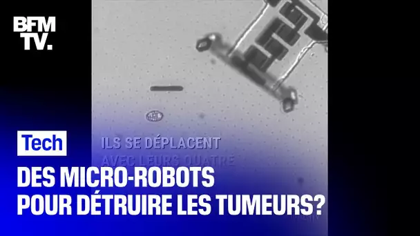 Ces micro-robots pourraient un jour être injectés dans le corps humain