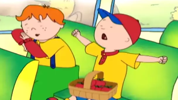 Caillou et le Voyage Scolaire | Caillou | Dessins animés pour enfants | WildBrain pour les enfants