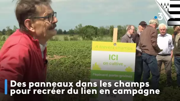 Des panneaux dans les champs pour recréer du lien en campagne. Edition An Taol Lagad du 17 juin 2024