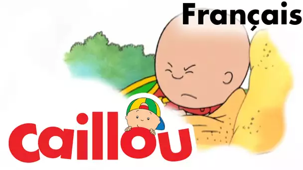 Caillou FRANÇAIS - Caillou se fait un ami  (S01E38) | conte pour enfant | Caillou en Français