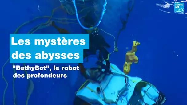 Au fond de la Méditerranée, "BathyBot" veut percer les mystères des abysses • FRANCE 24