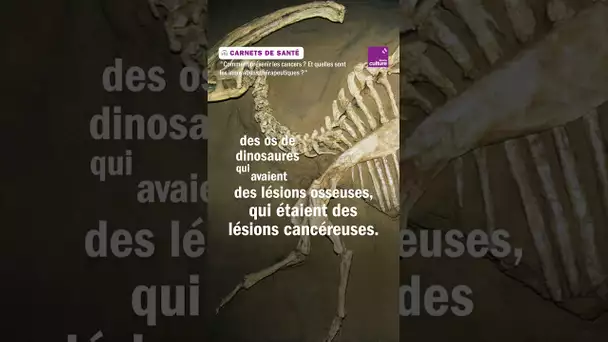 Depuis quand les êtres humains ont-ils le cancer ?