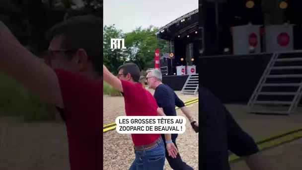 Les Grosses Têtes au ZooParc de Beauval !